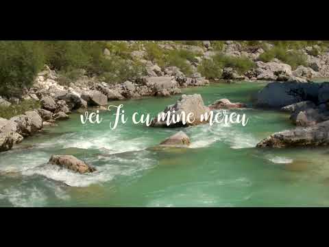 Mă încred în brațul Tău - Ligia Bodea