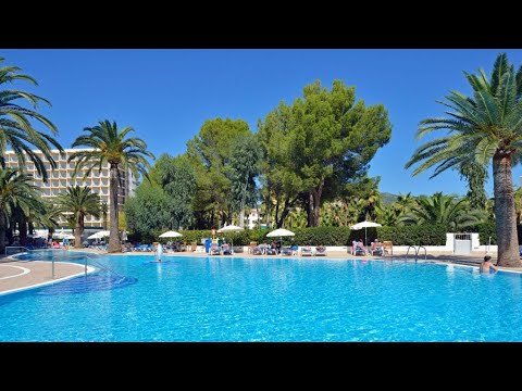 Videos del Sol Palmanova 4★ en Palmanova, EspañaVer MásVerPrecios18CerrarConsulta por Whatsapp 🇦🇷BookingTripadvisorExpediaAgodaTravelocityOrbitzPricelineTripSkyscannerDespegarKayakHotelesDestiniaTrivagoLastminuteHotwireCheapticketsTui