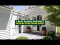 7 Best Plants for Pots Outside Your Front Door | Curb Appeal 💕