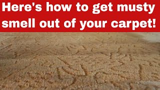 How To Get Musty Smell Out Of Your Carpet [Detailed Guide]