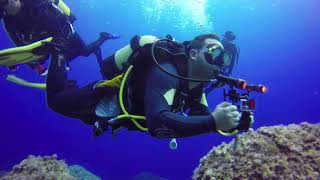 Es Frare Tn Produccions | ES Frare, isla del Esparto, Ibiza - Baleares Cala Tarida, isla de Ibiza Spain foto 1