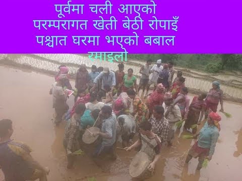 #bhimpokhrel, #hajurkomobiletv Bethi nach, बेठी नृत्य,bethi ropai,