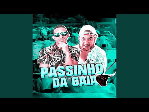 Passinho da Gaia
