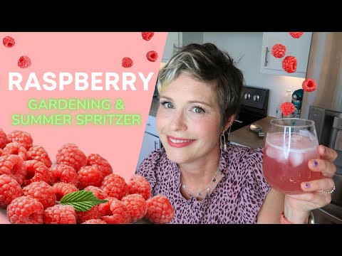 Making a SodaStream Raspberry Spritzer from fresh picked Raspberries!