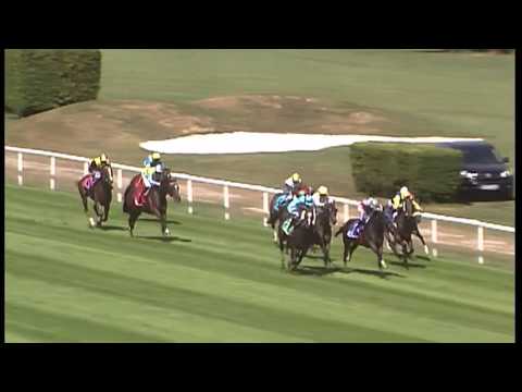 München: Dallmayr Prodomo Trophy (Listenrennen) - Sieger: Birthday Prince