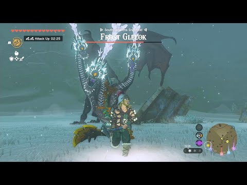 ''how to kill Frost Gleeok mid game easily❄️''