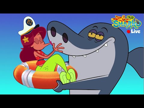 (NEW) 🔴 ZIG & SHARKO 3 | LIVE CARTOON  | NEW SEASON & EPISODES