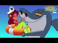 NEW ZIG SHARKO 3 LIVE CARTOON NEW SEASON EPISODES