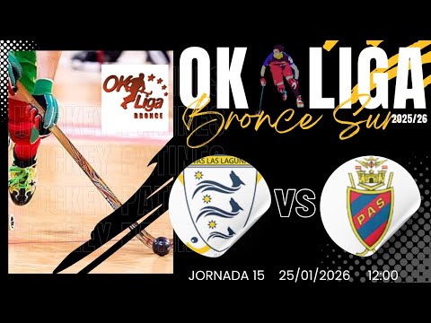 OK LIGA BRONCE SUR 2025/26  Jornada 15    25/01/2026     12:00
