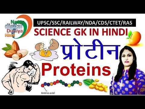 प्रोटीन क्या है | प्रोटीन के प्रकार | Protein | Protein in hindi | Protein biology | Proteins Video