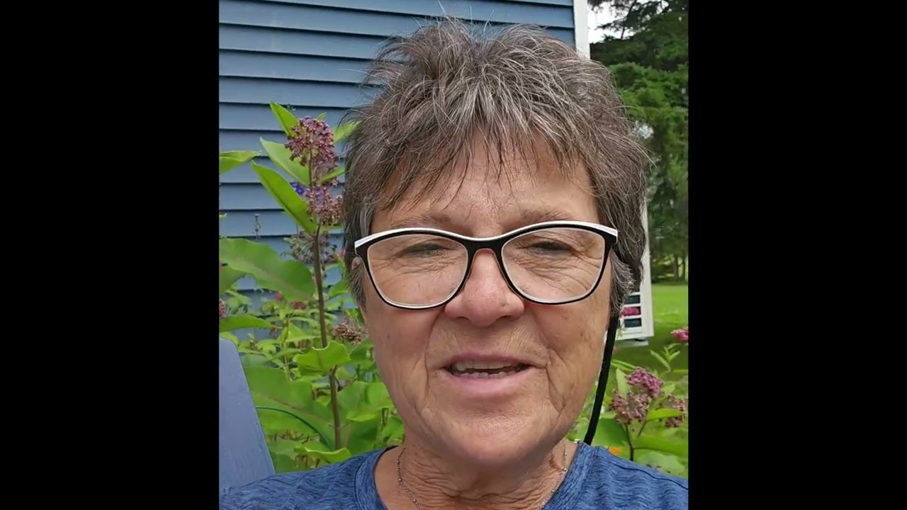 YouTube Video Preview