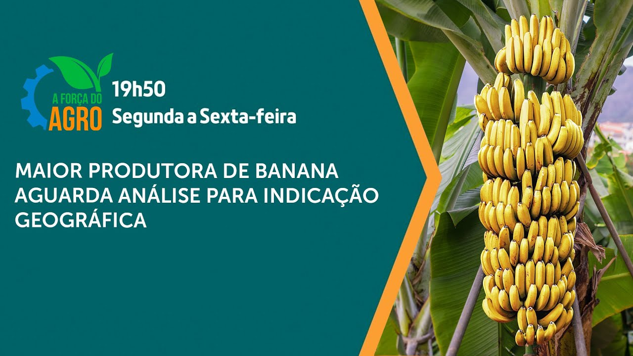 AFA, com Joice Maffezzolli - Maior produtora de banana aguarda análise para Indicação Geográfica