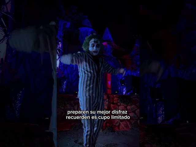 Vídeo relacionado con Funidelia Disfraz de Conde Drácula para hombre, Incluye pantalón, camisa con pechera y capa, Talla XL, Terror - Traje para adultos para fiestas, Carnaval y Halloween