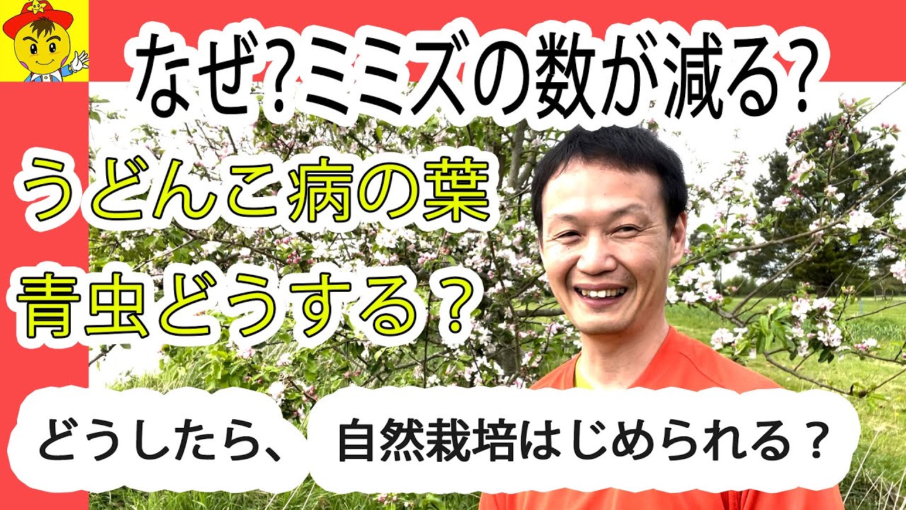 自然栽培でミミズが減る理由と害虫対策
