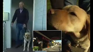 Blind pensioner refused service at popular restaurant after being told seeing eye dogs are