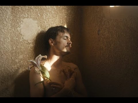 Thumbnail of the video: "De noche los gatos son pardos" - Valentin Merz TRAILER