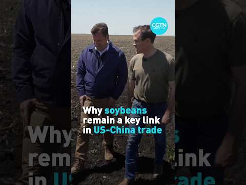 Why soybeans remain a key link in US-China trade