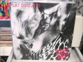 Flat Duo Jets - Apple Blossom Time