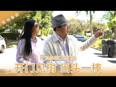 開門見樹