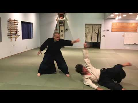 Aikido: Ude Garami/Juji Nage