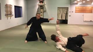 Aikido: Ude Garami/Juji Nage