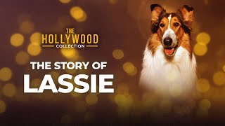 The Story Of Lassie | The Hollywood Collection video