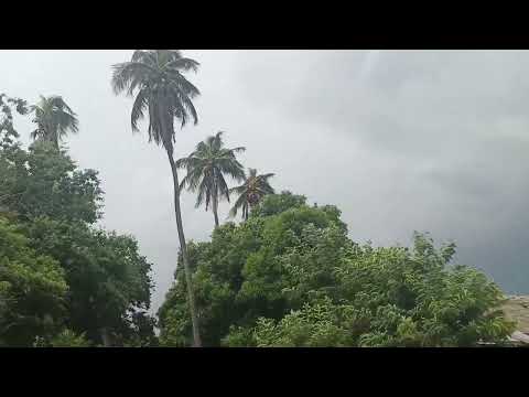 🚨⛈️ SE AVECINA UNA TORMENTA PARA LA PACHA, BOLÍVAR