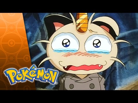 Meowth (species)