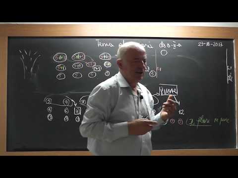 2/2 1595 Clasa 2 - Probleme rezolvate prin Metoda Figurativa Inmultirea unui numar cu 10 sau 100