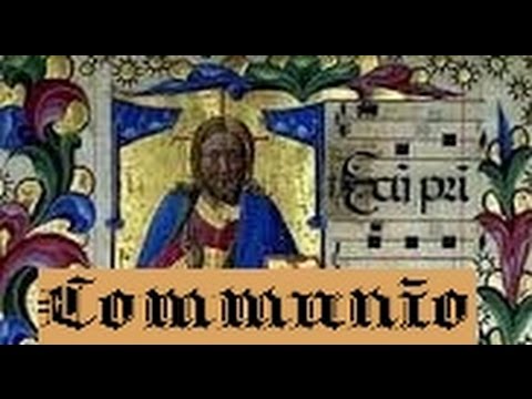 Honora Dóminum - Dominica XI Post Pentecosten (Communio)