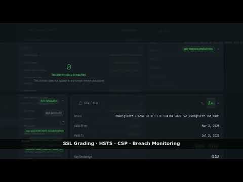 Item video thumbnail