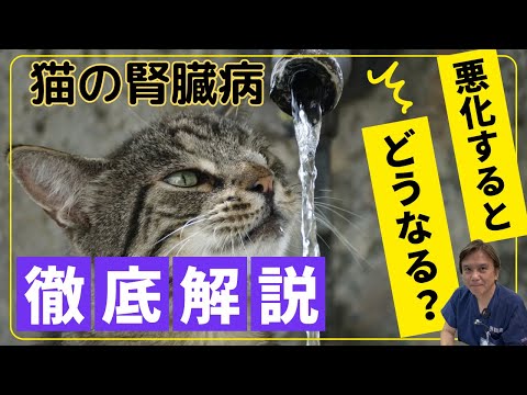 物理マップを表示する