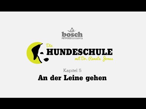 Die Hundeschule - Kapitel 5 An der Leine gehen