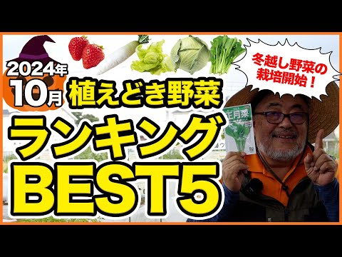 10月に種をまくべき野菜は何ですか?家庭菜園で簡単にできる種まき 5 つ  庭園
