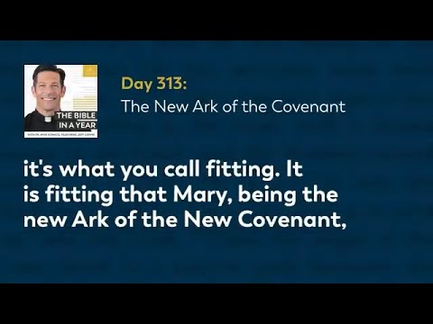 Why Mary is the New Ark of the Covenant?  Explained by Fr Mike Schmitz from Bible in a Year Day 313