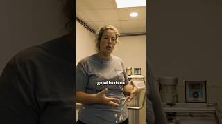 Download lagu Why chill raw milk immediately. #rawmilk #rawdairy #milkfarm #dairyfarm mp3 Download lagu Why chill raw milk immediately. #rawmilk #rawdairy #milkfarm #dairyfarm mp3