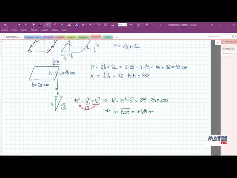2E-10-4 Romboides y Rombos. Área y Perímetro.