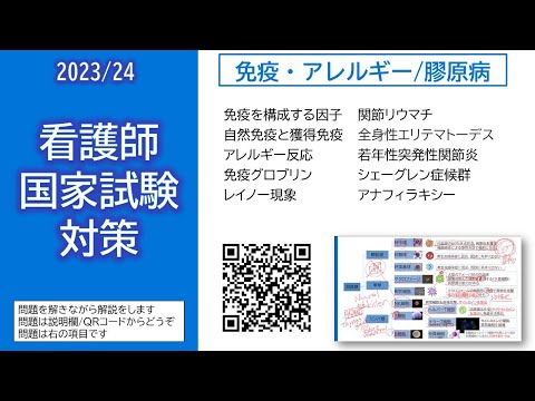 看護学科 2024看護師国家試験対策・免疫・アレルギー/膠原病