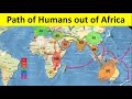 Map Of Human Migration Out Of Africa
