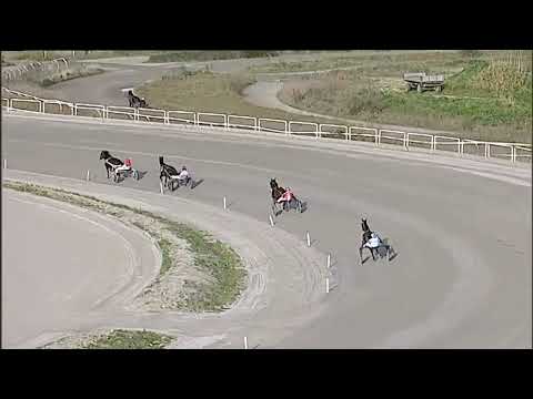 Napoli Trotto 15/01/2026 - 2ª prova di qualifica