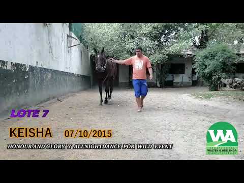 Lote KEISHA