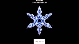 Steve Angello - Wasted Love (Fozzie BX Club Remix)