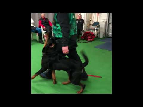 Hulk vom Schwarzen Grat 14.3.2018