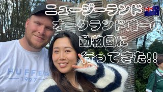 ニュージーランド🇳🇿オークランドにある動物園に行ってきました!(国際カップル)