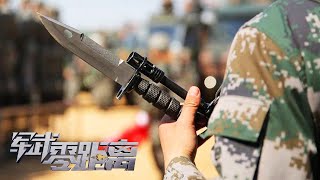 [討論] 刺槍術強身健體練戰技的為何要取消?