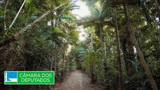  Discussão e votação de propostas legislativas - 17/03/2026 14:00