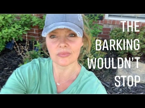 How I Stopped My Neighbors Dogs From Barking At Me // Favorite Hobby Gardener
