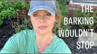 How I Stopped My Neighbors Dogs From Barking At Me // Favorite Hobby Gardener