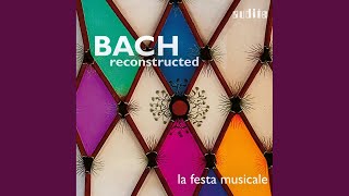 Neubrandenburg Concerto No. 1: II. Aria - Variation 1 (Transcr. By Harer, after Bach&#39;s Aria...