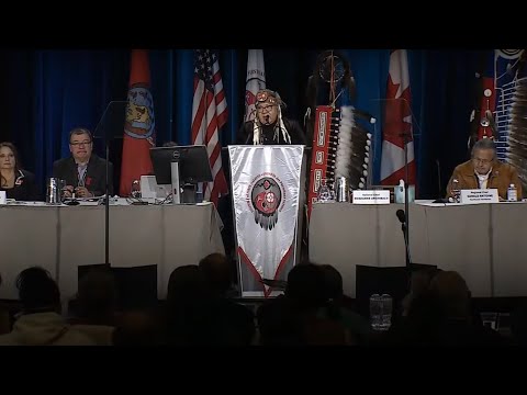 National Chief RoseAnne Archibald opening remarks at AFN Special Chiefs Assembly | APTN News